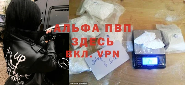 амф Богданович