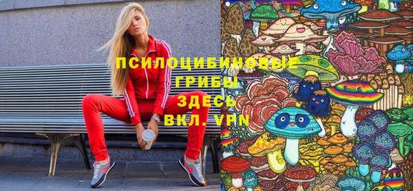 амф Богданович