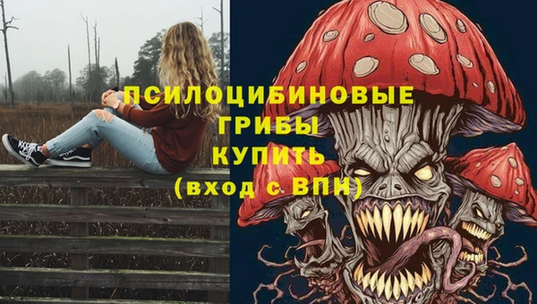 винт Ахтубинск
