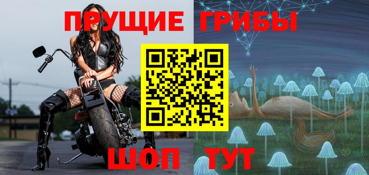 Северск  даркнет сайт  Вход с VPN  Галлюциногенные грибы MAGIC MUSHROOMS 
